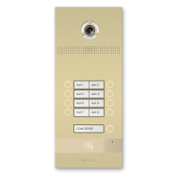 BI-08FB GOLD. Вызывная панель IP-домофона. BAS-IP