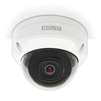 BOLID VCI-242 версия 4. Профессиональная IP-камера купольная уличная. BOLID