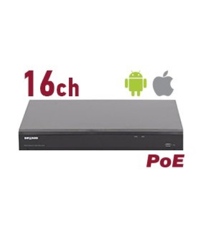 RK2216-P. Видеорегистратор IP 16-канальный. Beward в Абакане