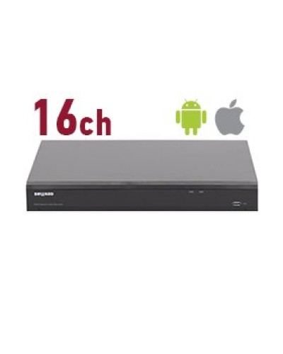 RK2216. Видеорегистратор IP 16-канальный. Beward в Абакане