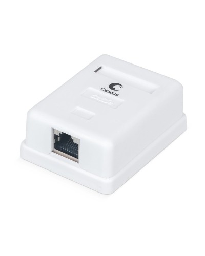 WS-8P8C-Cat.5e-SH-1 (7485c): Розетка RJ-45 в Абакане
