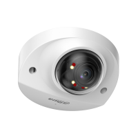 DH-IPC-HDBW2249FP-AS-IL-0280B. Профессиональная видеокамера IP купольная. Dahua