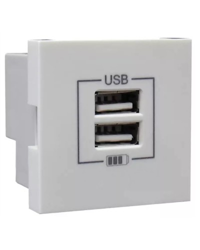 Розетка USB двойная, зарядная, белая (45439 SBR): Розетка USB двойная в Абакане