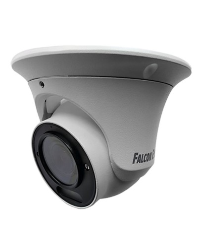 FE-IPC-DV2-40pa. Видеокамера IP купольная. Falcon EYE в Абакане