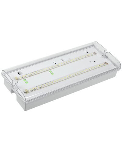 Светильник аварийный ДПА 5042-1 1ч IP65 LIGHTING (LDPA0-5042-1-65-K01). Светильник аварийный универсальный. IEK в Абакане