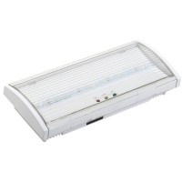 Светильник аварийный ДПА 5043-3 10-24/220В 3ч IP54 LIGHTING (LDPA1-5040-3-54-K01). Светильник аварийный постоянного действия. IEK