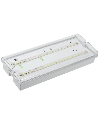 Светильник аварийный ДПА 5042-3 3ч IP65 LIGHTING (LDPA0-5042-3-65-K01). Светильник аварийный универсальный. IEK в Абакане