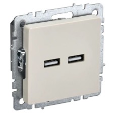 Розетка USB A+A 3,1А РЮ10-1-БрКр бежевый BRITE (BR-U21-D31-K10). Розетка USB. IEK