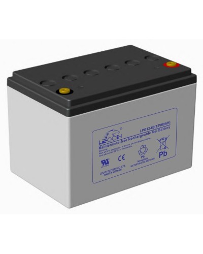 LEOCH LPG 12-60. Аккумулятор герметичный свинцово-кислотный. LEOCH в Абакане