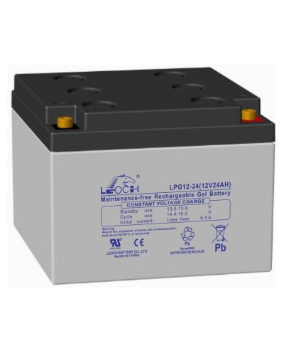 LEOCH LPG 12-24. Аккумулятор герметичный свинцово-кислотный. LEOCH в Абакане
