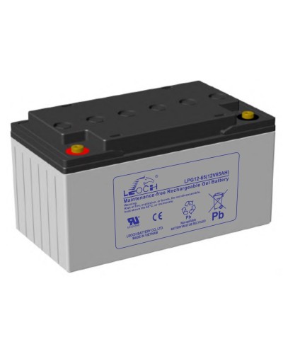 LEOCH LPG 12-65. Аккумулятор герметичный свинцово-кислотный. LEOCH в Абакане