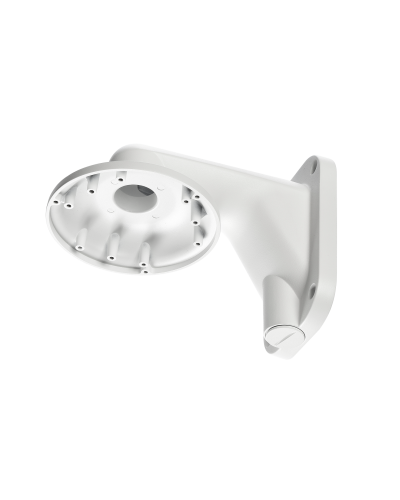 RVi-1BWM-5 white. Кронштейн настенный. RVi в Абакане