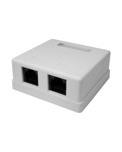 Розетка настенная RJ-45, 8P8C, Cat.5e, 2 порта UTP (10-0309): Компьютерная розетка в Абакане