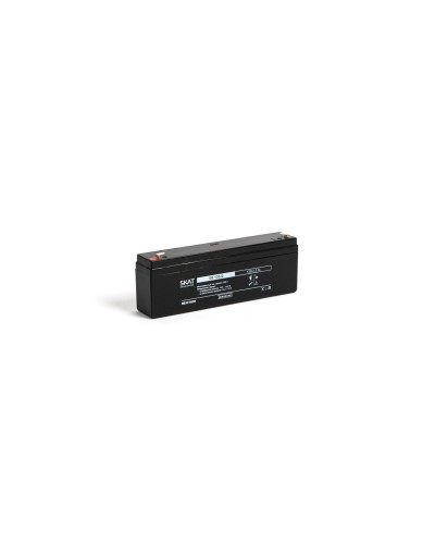 SKAT SB 12022 (2539). Аккумулятор герметичный свинцово-кислотный. Бастион в Абакане