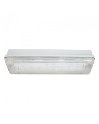 SL-223-30LED1.8 исп. 1, IP65. Светильник аварийного освещения. ИП Раченков А.В. в Абакане