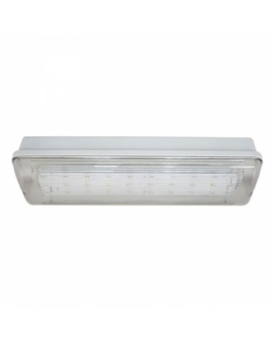 SL-213-30LED1.8 исп.1 IP54. Светильник аварийного освещения. ИП Раченков А.В. в Абакане