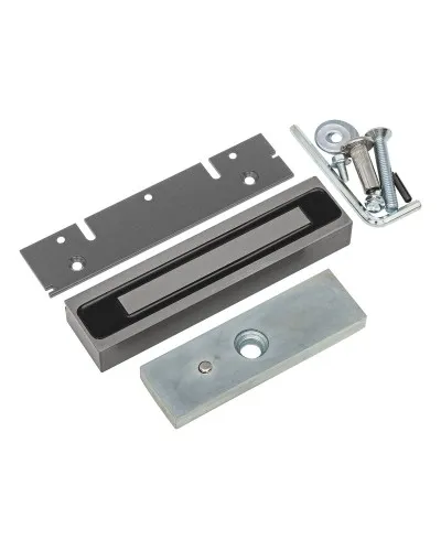 ML-200K Premium Grey с планкой. Замок электромагнитный. AccordTec в Абакане