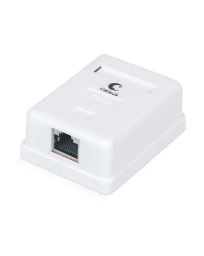 WS-8P8C-Cat.5e-SH-1 (7485c): Розетка RJ-45 в Абакане