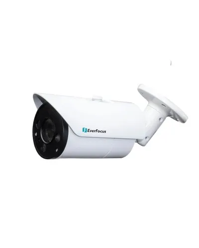 EZN-268V. Видеокамера IP купольная. EverFocus в Абакане