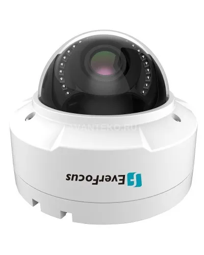 EHN-1250. Видеокамера IP купольная. EverFocus в Абакане
