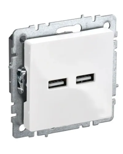 Розетка USB A+A 3,1А РЮ10-1-БрБ белый BRITE (BR-U21-D31-K01). Розетка USB. IEK в Абакане