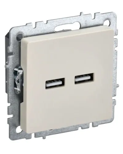 Розетка USB A+A 3,1А РЮ10-1-БрКр бежевый BRITE (BR-U21-D31-K10). Розетка USB. IEK в Абакане