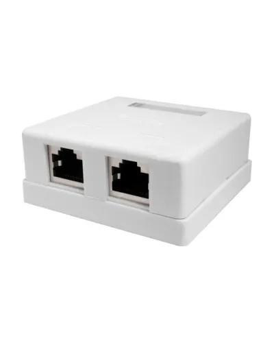 Розетка настенная RJ-45, 8P8C, Cat.5e, 2 порта, FTP (10-0308). Компьютерная розетка. SUPRLAN в Абакане