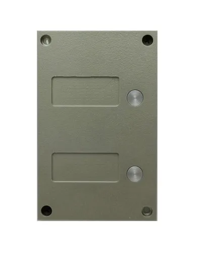 BS-424-2. Кнопочная панель. VIZIT в Абакане