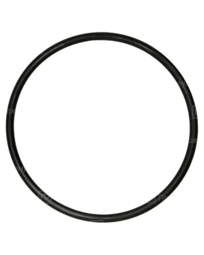Кольцо резиновое уплотнительное для двустенной трубы D50 (PR08.3156). Кольцо резиновое уплотнительное для двустенной трубы. Промрукав в Абакане